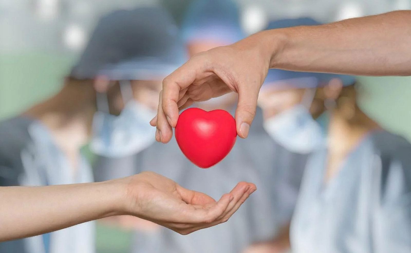 Razones para ser un donante de órganos | Clínica Internacional
